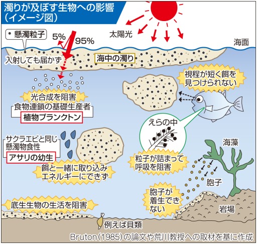 濁り