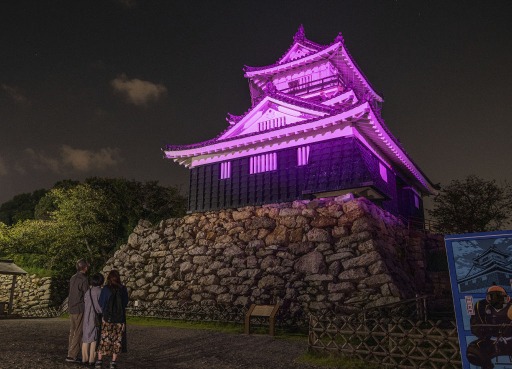 ピンク色にライトアップされた浜松城＝浜松市中区