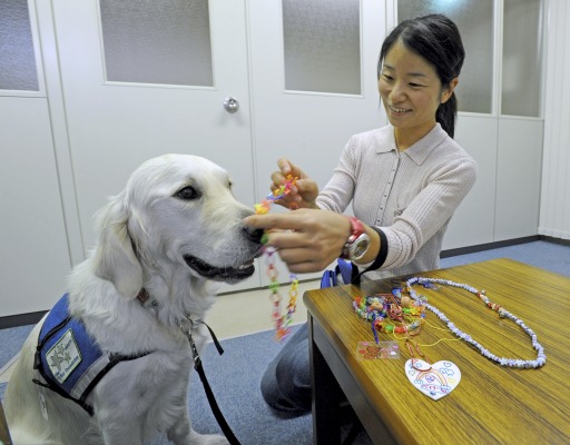 子どもたちから贈られたビーズのネックレスを、ベイリーの首に掛ける森田さん＝２０１０年１２月１６日、静岡市葵区の県立こども病院