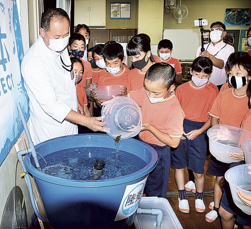 山あいの地 ヒラメ養殖 浜松 平山小 命の体験学習スタート あなたの静岡新聞