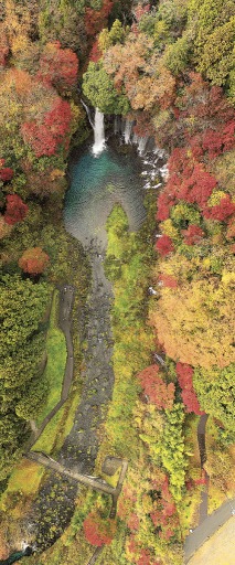 白糸の滝 紅葉の木々 エメラルドの滝つぼ囲む 動画あり あなたの静岡新聞 白糸の滝 紅葉の木々 エメラルドの滝つぼ囲む 動画あり あなたの静岡新聞