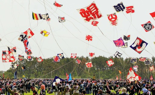 一斉に空に舞い上がる参加各町自慢の大だこ＝２０１９年５月３日、浜松市南区のたこ揚げ会場