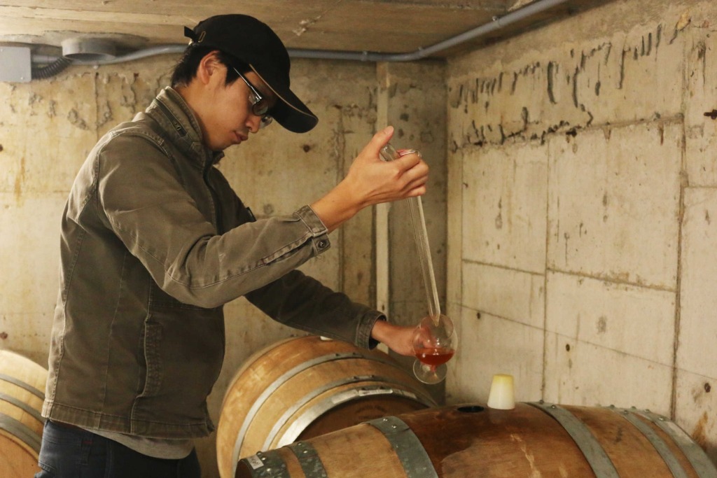 熟成たるが並んだセラーでビールの品質を確認する山田隼平さん＝７月上旬、伊豆の国市の反射炉ビヤ
