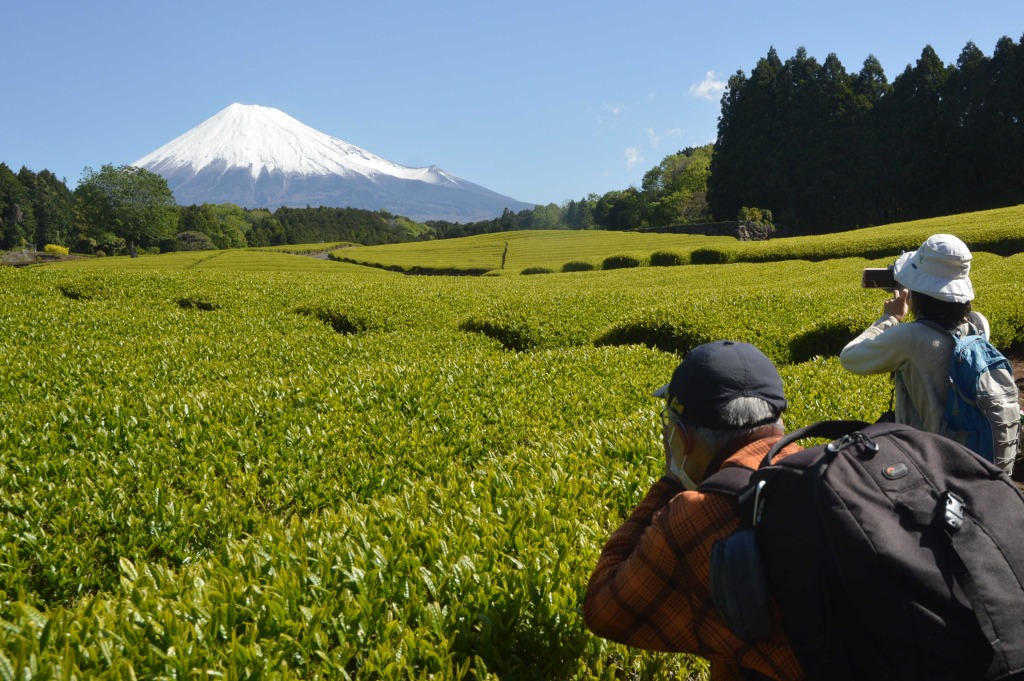 富士山と茶畑の絶景を収める写真愛好家ら＝富士市大淵