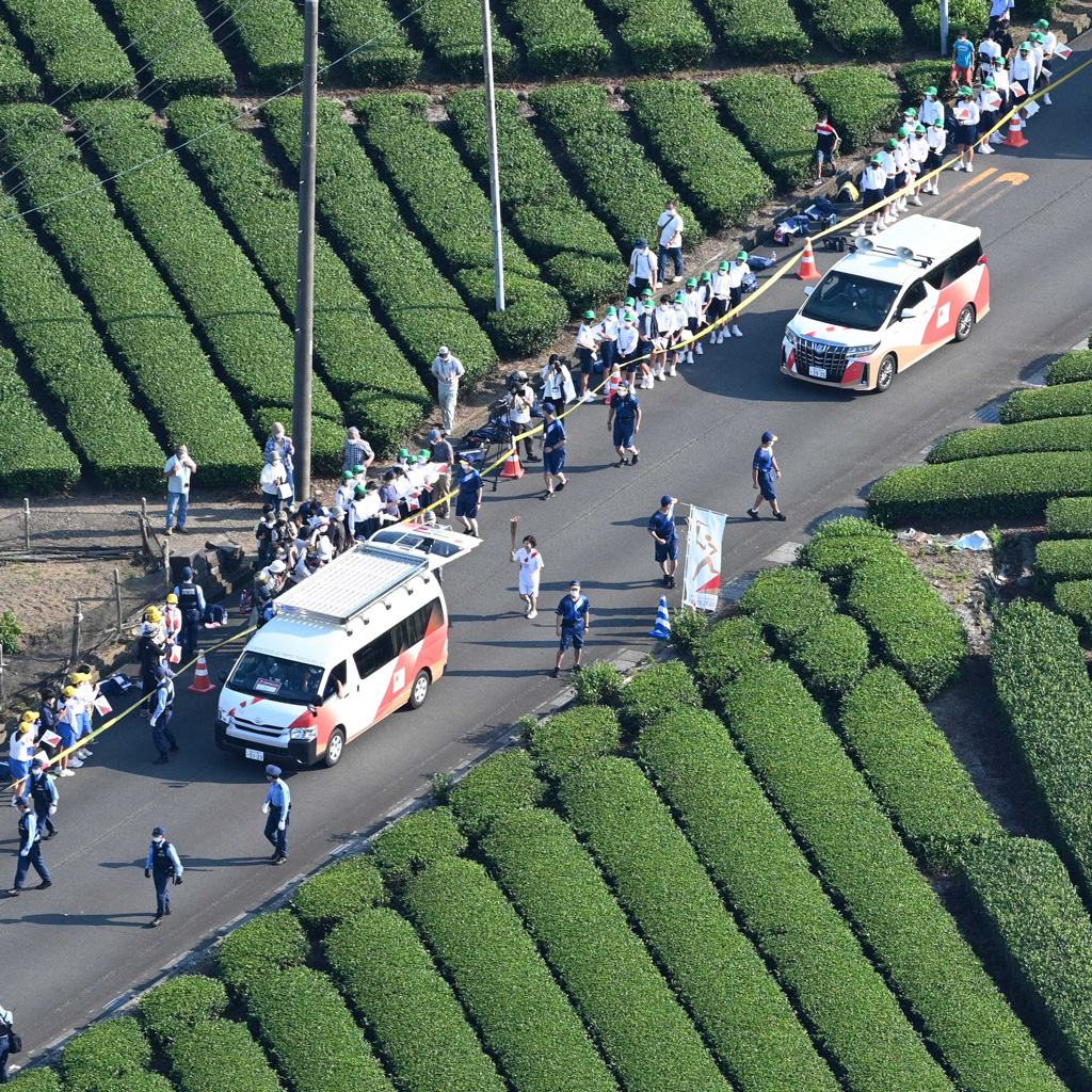 茶畑の一本道を走る聖火ランナー=23日午後4時すぎ、島田市(静岡新聞社ヘリ「ジェリコ1号」から)