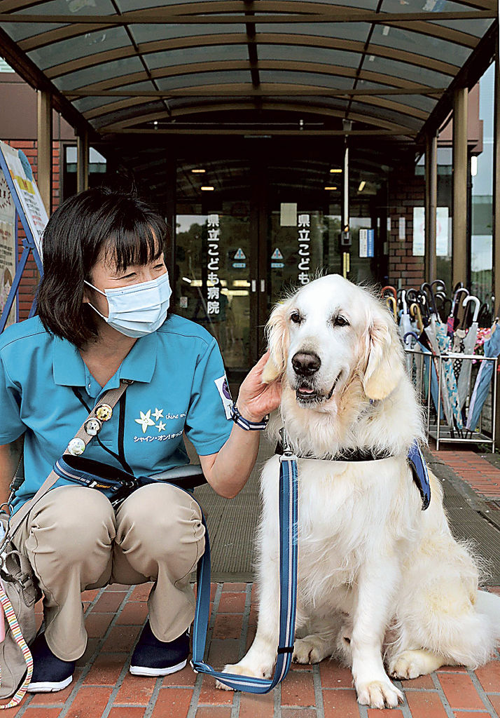 秋に引退するヨギとハンドラーの鈴木恵子さん＝６月下旬、静岡市葵区の県立こども病院