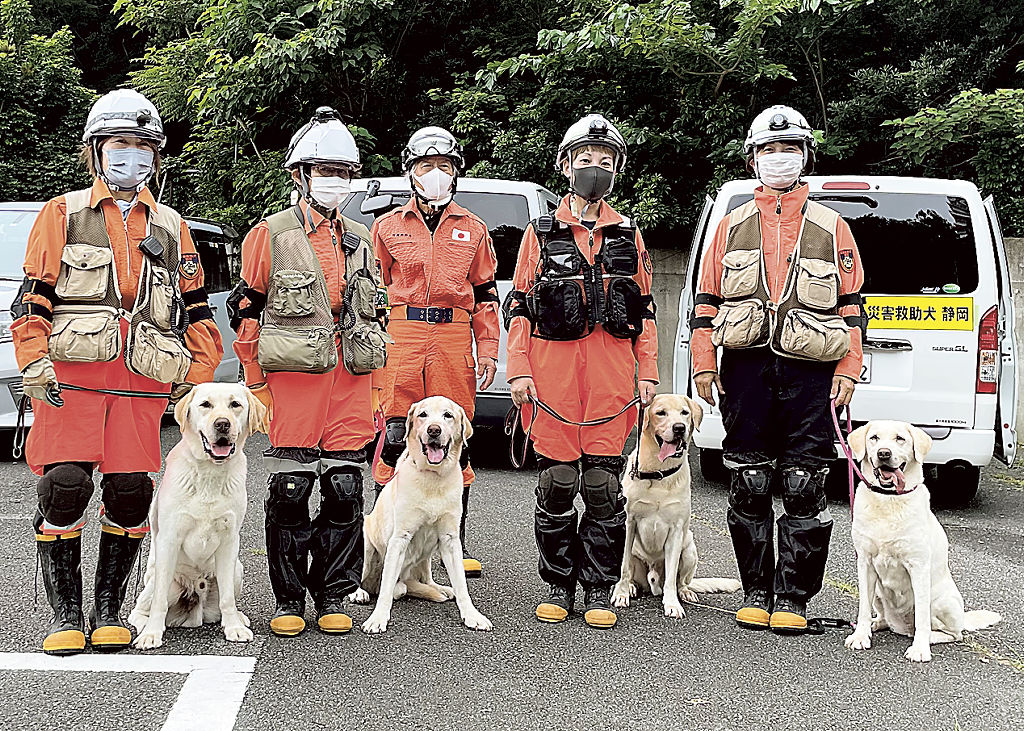 土石流災害の現場で行方不明者の捜索に尽力した４頭の救助犬ら＝１２日、熱海市