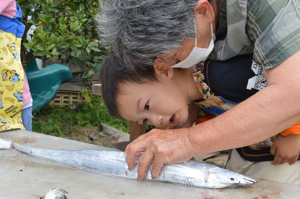 タチウオのはらわたを確認する園児＝６月下旬、藤枝市の風の子の家