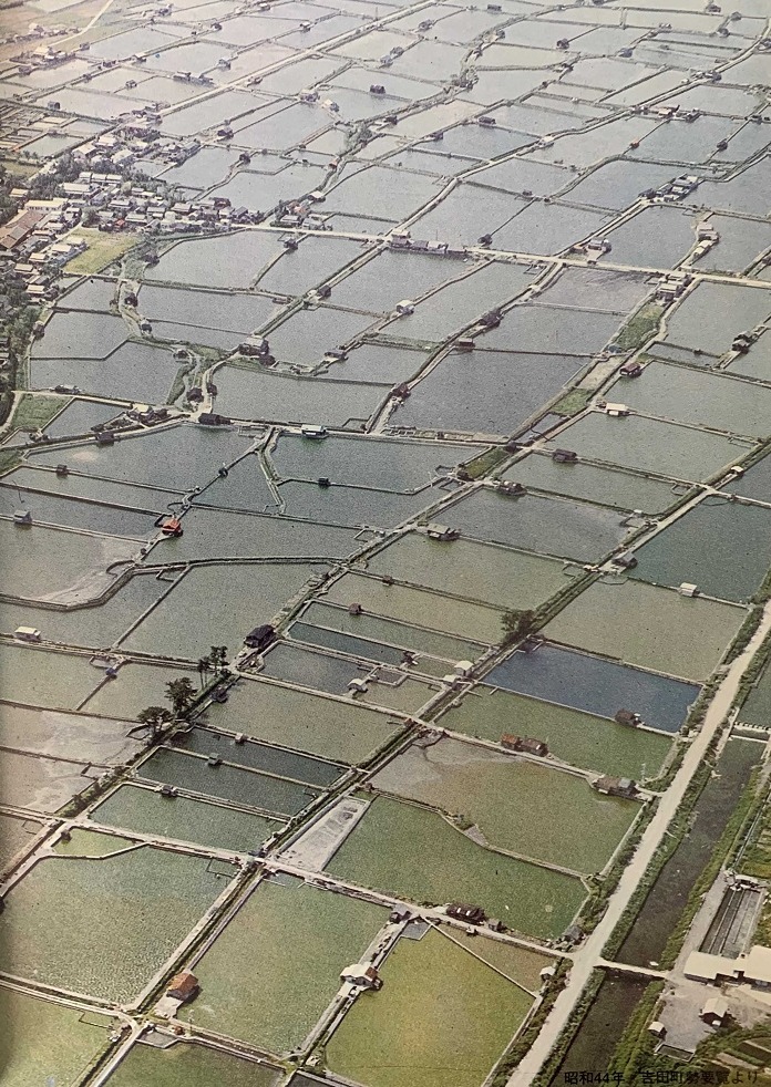 養鰻業最盛期の吉田町。露地の養鰻池が地域を埋め尽くしていた＝１９６９年（吉田地域養鰻八十年史より）