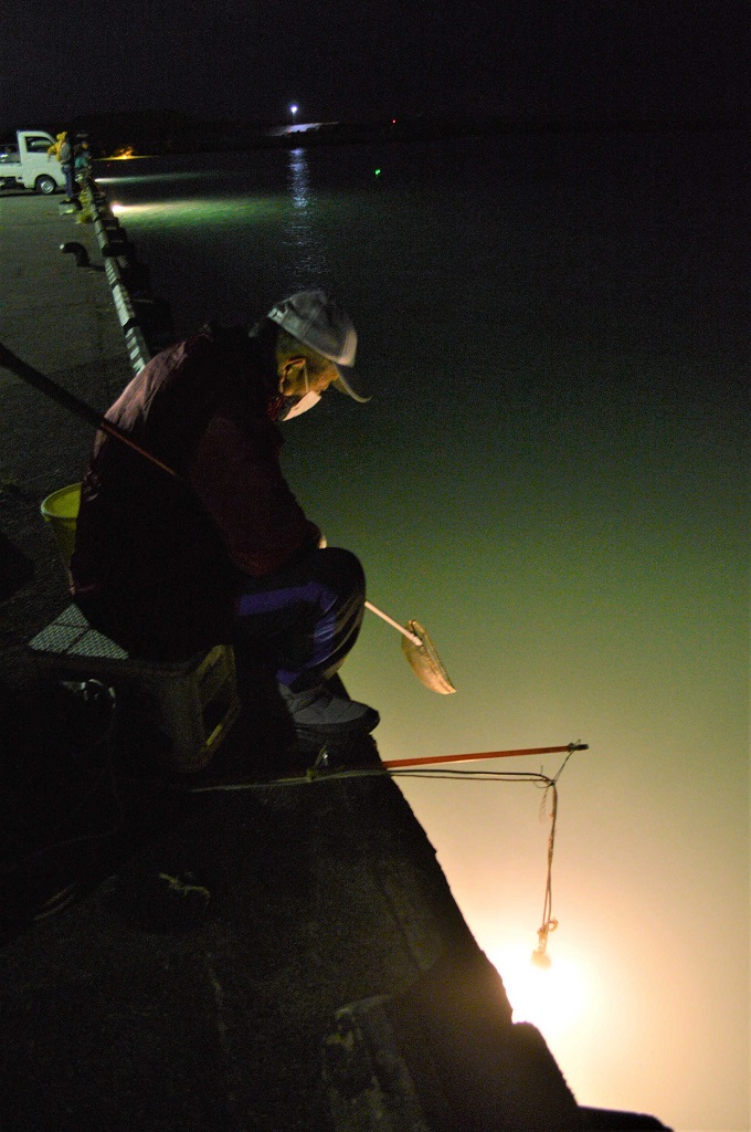 シラスウナギ漁を行う採捕人。水面を見つめ、水中灯に引き寄せられてくる稚魚を探している＝２０２０年１２月、吉田町の吉田漁港