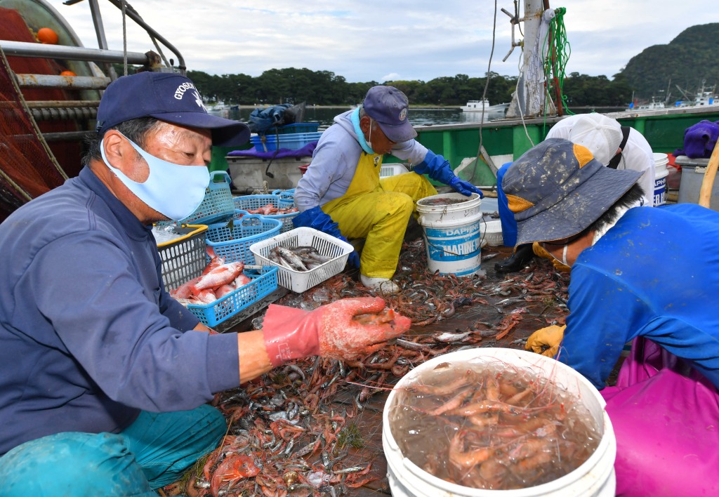 網にかかった深海魚やエビを仕分けする漁師ら＝沼津市戸田