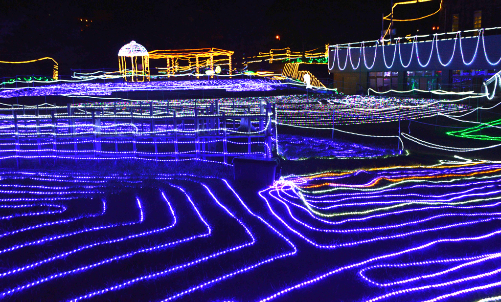 景勝地の夜を彩るイルミネーション＝西伊豆町の堂ケ島公園