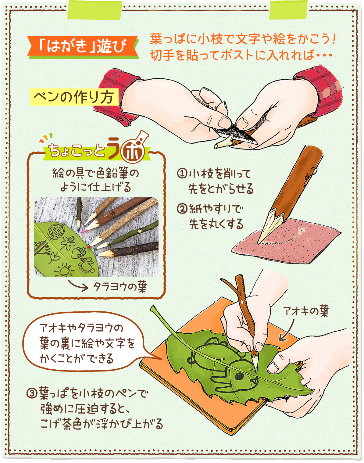 葉っぱでお便り♡ペンは小枝で作ろう！【もっと自然遊び ちょこっとラボ⑧】｜あなたの静岡新聞