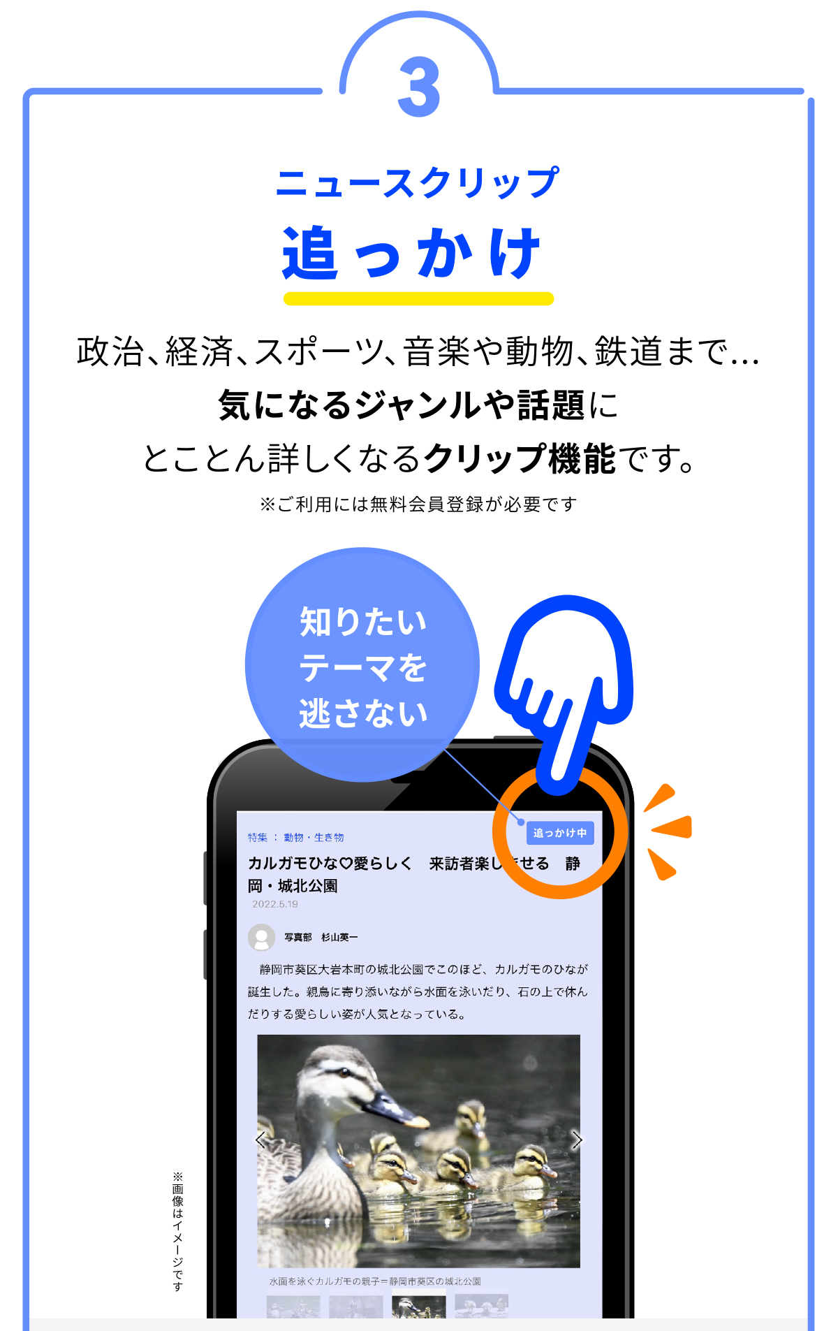 追っかけ