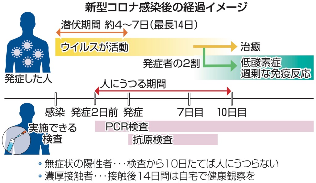 感染後の経過 発症７ １０日が分かれ目 続 専門医に聞く 今こそ知りたい感染症 あなたの静岡新聞