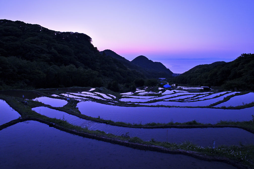 心を癒やす棚田 水たたえ七変化 松崎町／富士宮市／菊川市【TRY