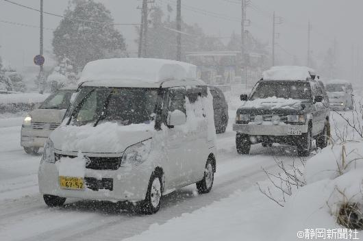 写真特集 静岡県内広範囲で雪 ２０１４年２月８日 11枚目 静岡新聞アットエス