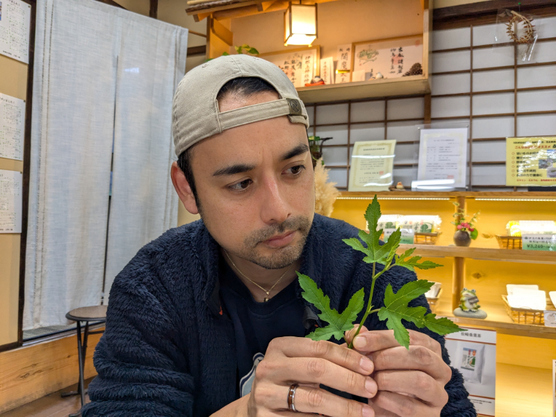 松崎桑葉ファーム