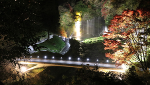 11月22〜24日の3連休に開催!富士宮・小山・裾野ほか【静岡県東部エリア】のおすすめイベント/白糸ノ滝ライトアップ、富士山すその花火まつり