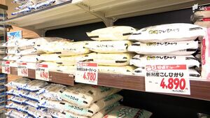 「いまの価格で精いっぱいやっていきたい」おかわり自由の店も悲鳴… コメ価格が過去最高値更新、5キロ4300円超え=静岡